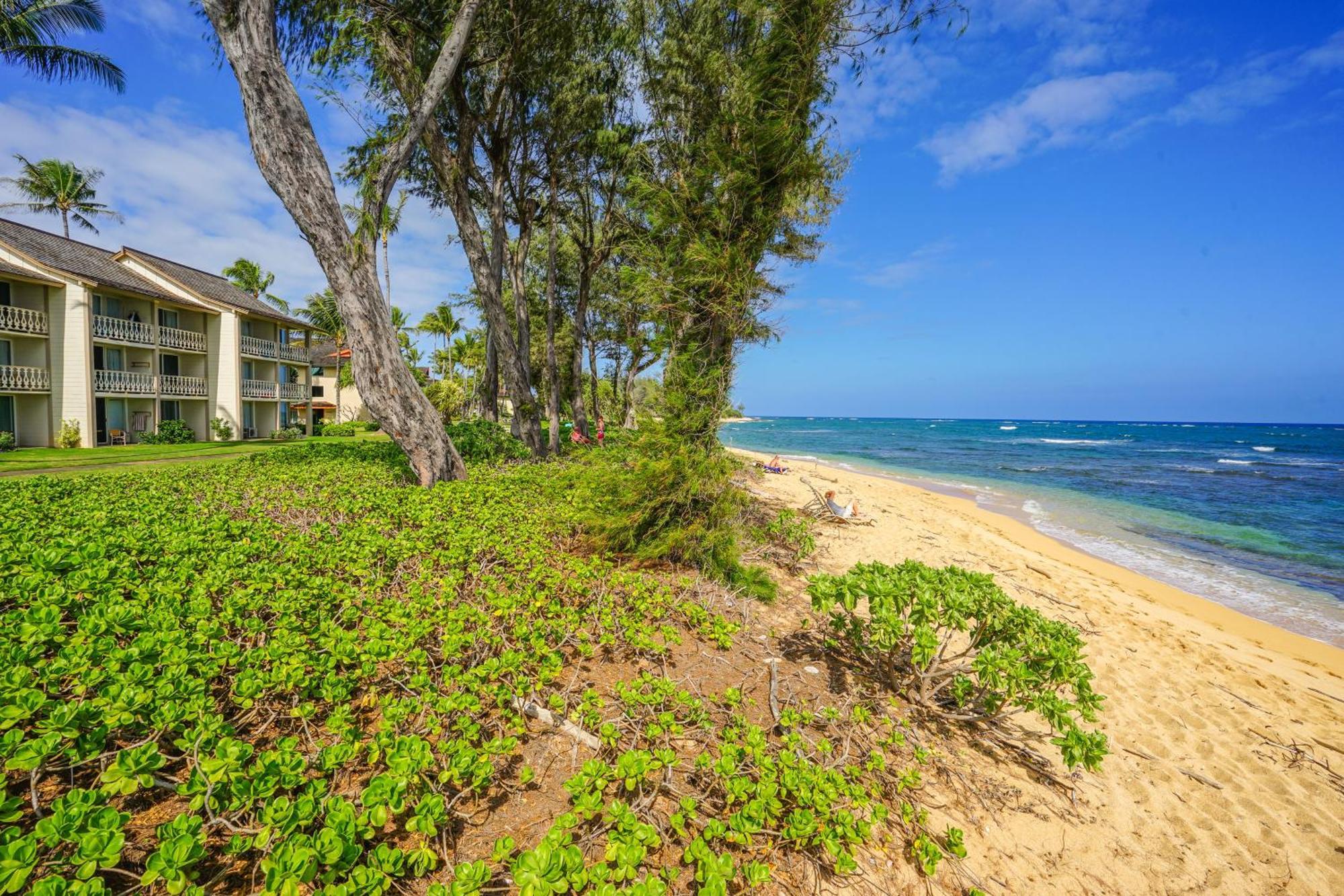 Islander On The Beach Kapa'a Room photo