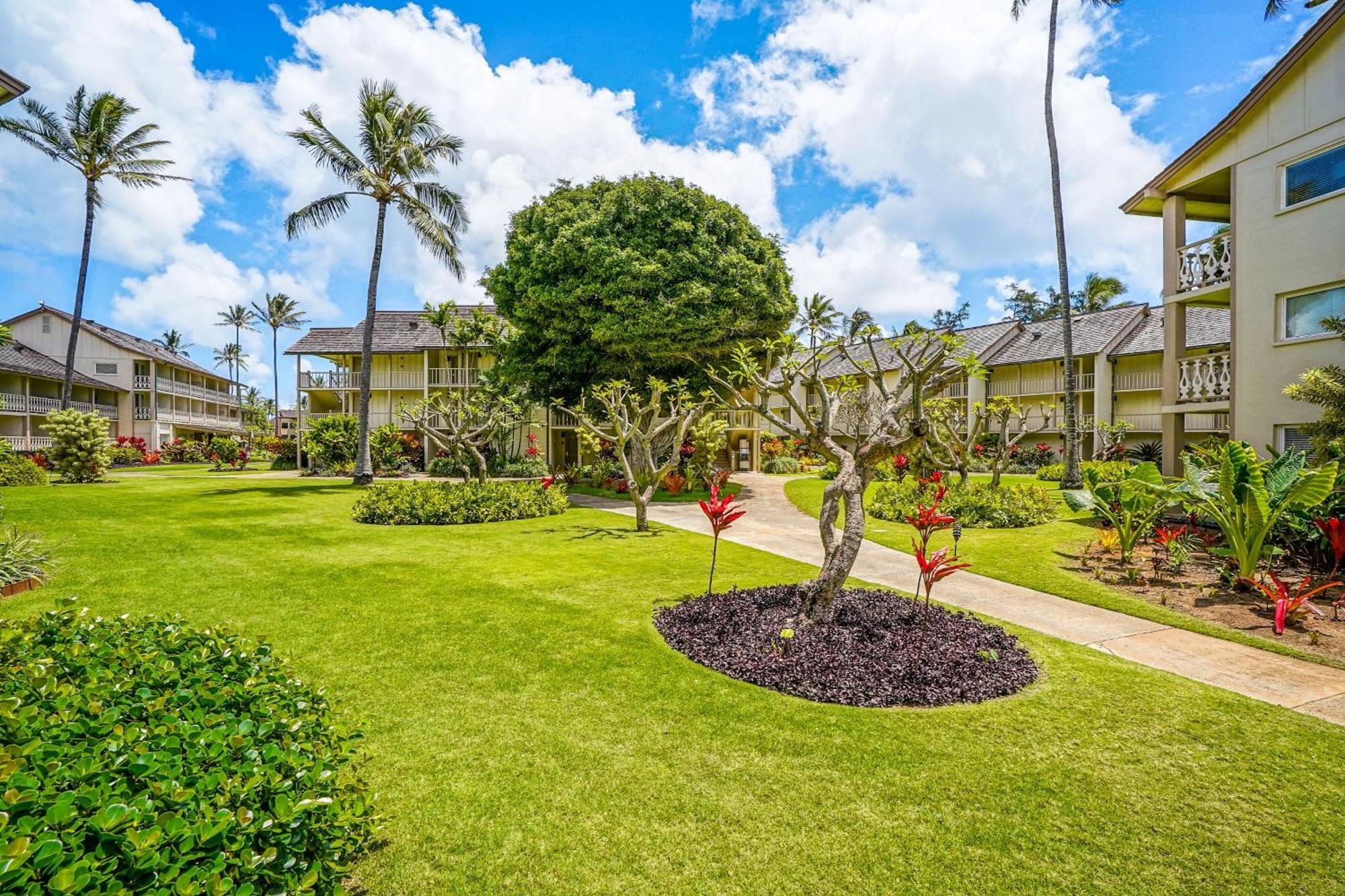 Islander On The Beach Kapa'a Room photo